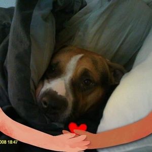 Meet your Posher, Amber n blake